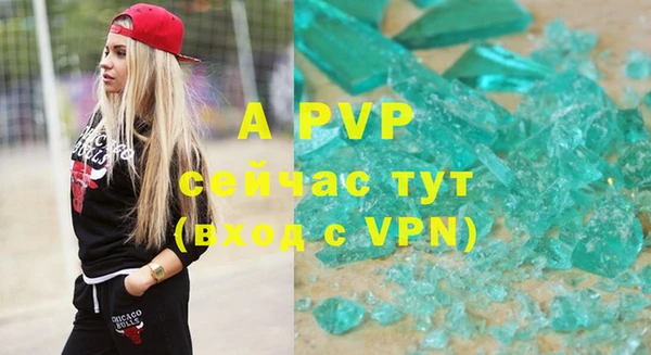 сатива Волоколамск