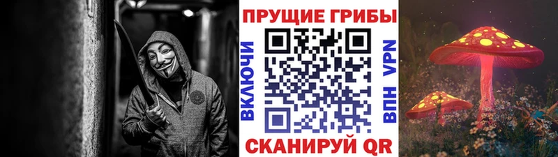 Купить где  Анапа  Псилоцибиновые грибы Magic Shrooms 