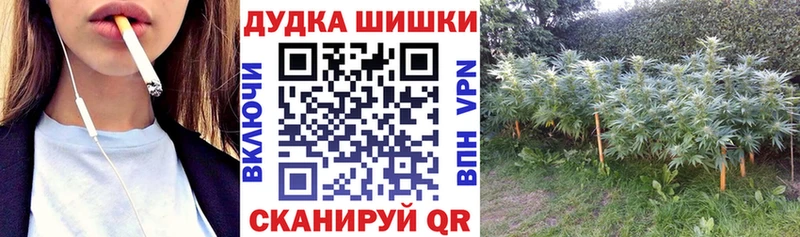 Шишки марихуана Ganja  Купить где  Анапа 